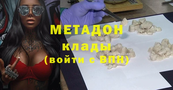 гидра Инта