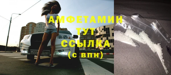 гидра Инта