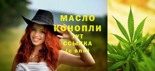 гидра Инта
