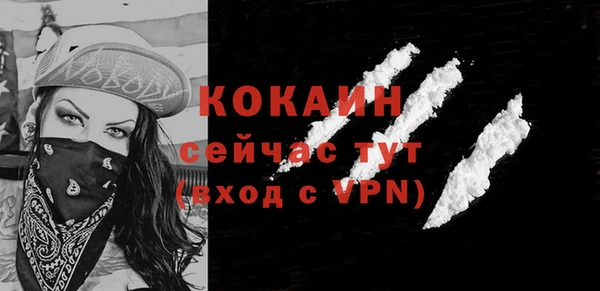 гидра Инта