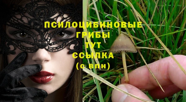 дмт Инсар