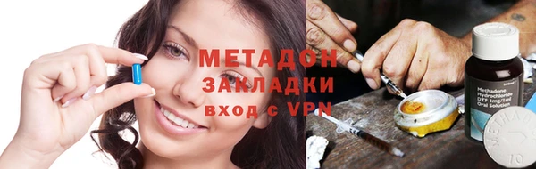 гидра Инта