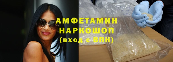 гидра Инта