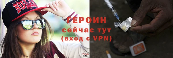 гидра Инта