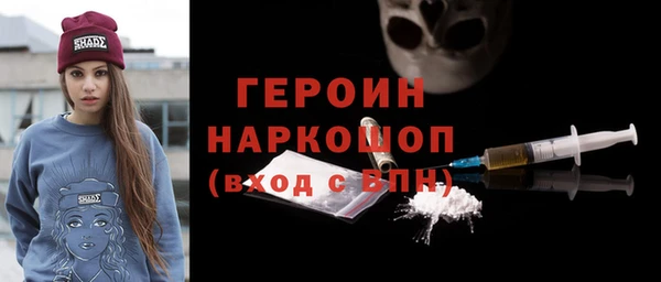 гидра Инта