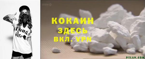 гидра Инта