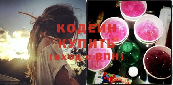 дмт Инсар