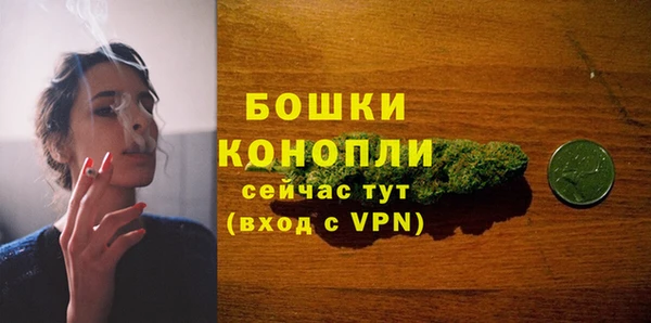 дмт Инсар