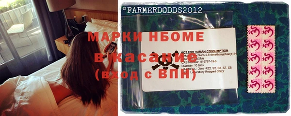 дмт Инсар