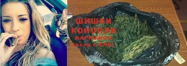 гидра Инта