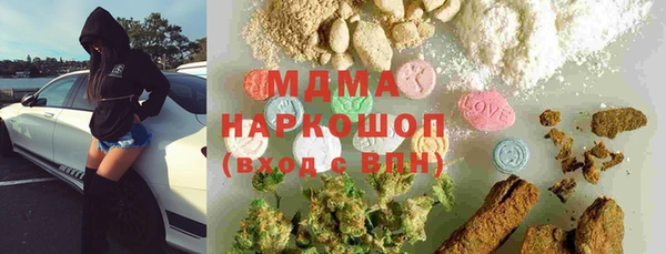 гидра Инта