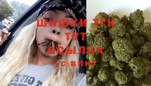 гидра Инта