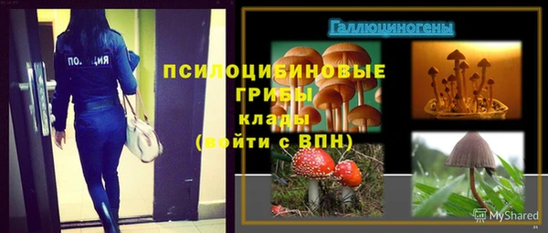 дмт Инсар