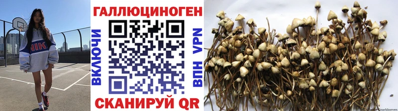Галлюциногенные грибы ЛСД  Купить закладки  Тайшет 